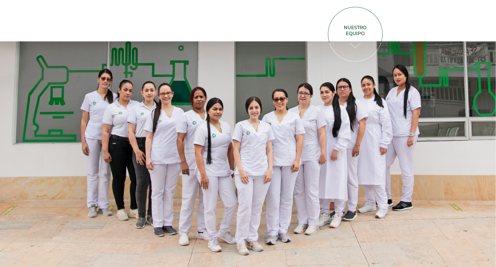 Equipo MLH